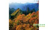 長沙往返張家界、天子山、寶峰湖/黃龍洞三日游