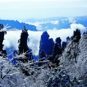 LD線：張家界、天子山、楊家界、猛洞河漂流純玩四日游