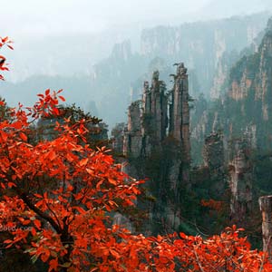 休閑自駕E線：張家界、袁家界、天子山、寶峰湖、鳳凰古城、沱江泛舟四晚五日游